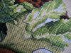 IMG_2202-1.jpg