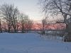 IMG_2361.jpg