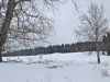 IMG_4533.jpg