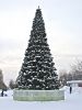IMG_4654.jpg