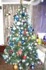 IMG_4765.jpg