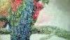 WP_20161228_08_00_54_Pro.jpg