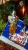 WP_20170113_002.jpg