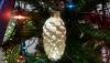 WP_20170113_004.jpg