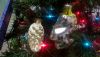 WP_20170113_007.jpg