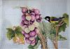 _IMG_6364.jpg