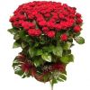 image-139.jpg