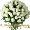 mir-animasii.ru_4413.jpg