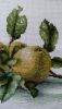 1.thumb.JPG.d107523b5e9e3be86765e65da6c549e8.JPG