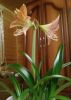 10.6..thumb.jpg.8bb4aef9a1309de9b755eb64af2774ff.jpg