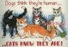11267.thumb.jpg.203ab71f2498efc0e5a7e6ef5e1458cf.jpg