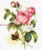 14484.thumb.jpg.7a840df0fe3ba077ab660e6e4ef9fa8a.jpg
