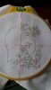 1487856364723.thumb.jpg.417c831fb5a9dfed9b4d0770cb8535a0.jpg
