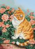 15953.thumb.jpg.dbc2c399fb7cc30a880b05e9286f03cd.jpg
