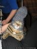 1GP8BJ9U.thumb.jpeg.92159bac82eab2152a886ef653cc6cfc.jpeg