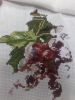 20161013_174103.jpg