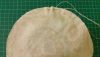 20161219_031840.thumb.jpg.59a4660b3713840df4e5d6e93de48ab7.jpg