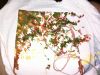 2017-02-21-1573.jpg