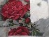 20170205_121646.thumb.jpg.2c427516759ccb48fd7d6bca1de956f1.jpg?1486311009198