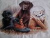 20170209_074135.jpg.c9fa5cc897372be8b724771423295759.thumb.jpg.50cb3b3e5ac36e90ff26dbc2942785c5.jpg