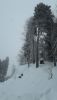 20170210_135713.jpg
