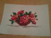 20170213_073501.jpg