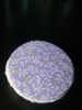20170213_135859.jpg