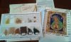 20170221_162210.thumb.jpg.0cb6b8cc306004bd68ceba0dd5218be2.jpg