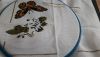 20170226_115538.jpg