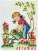 22907.thumb.jpg.db7b7c6fae53b8e53bfb2782c4d08fcd.jpg