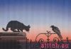 30958.thumb.jpg.041a74cbcf65cee4cd128bb7cc8a62b0.jpg