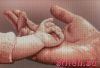 35113.thumb.jpg.95c7f47178adcda6e955e034838dd433.jpg