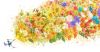 520874_devushka_magiya_anime_rozy_art_cvety_tyulpany_3477x1800_(www.GetBg.net).jpg