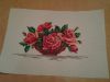 7.thumb.jpg.de6d74c5abe9833e9d19309d71f0b8e5.jpg
