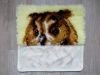 DSC01717_.thumb.jpg.4fac2f12837f76466c8de6c82face798.jpg