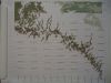 DSC03453.thumb.JPG.3845feaaf3e4f009f73c6bac5e1b3ddb.JPG