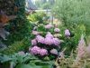 DSC04194.thumb.JPG.42b3990b8be9b0de9afb2c5ba4ea5bd0.JPG