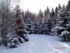 DSC05348.thumb.JPG.c331ebefe1d9bde77031a142a5677e83.JPG