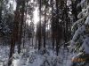 DSC05350.thumb.JPG.56f53ca6476d83b7bfe987f9f0dc00a0.JPG