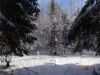 DSC05353.thumb.JPG.03b4e7b40a86802c4edb07a2b2fe399f.JPG
