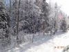 DSC05354.thumb.JPG.685f12bc4ea300c5afc6d11cfa3fa7c5.JPG