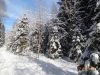 DSC05362.thumb.JPG.175f1fa9c8fd76271b0556a341e4e3b2.JPG