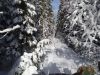 DSC05369.thumb.JPG.a40ebe76df0f4763648403bc1b7327ca.JPG