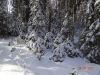 DSC05371.thumb.JPG.b0ce0634e12fb04c795777287ab73d34.JPG
