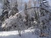DSC05379.thumb.JPG.5e42ce7ad132f639b76ad622c1f3238e.JPG