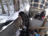 DSC05395.thumb.JPG.7fc20db6c1dbf8260b4ee165fe0a17bb.JPG