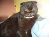 DSC06095.thumb.JPG.07f1f3e5ead9c8cb8ba3930bbf06bf74.JPG