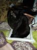 DSCF1106.JPG