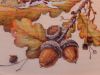 DSCN2721.thumb.JPG.195a5c73be8d5be3438fadcf3da255f0.JPG