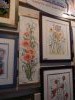 DSCN2755.thumb.JPG.bc76f55c6eef127b9b860ed82f6a4ffb.JPG?1488228944021